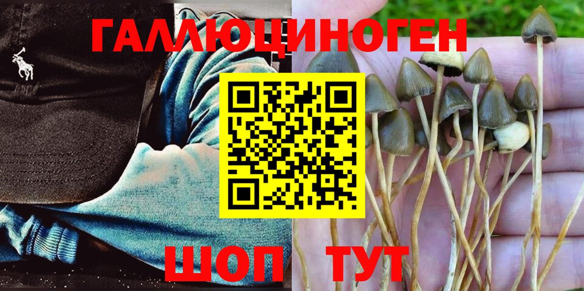 Псилоцибиновые грибы ЛСД  Псилоцибиновые грибы ЛСД  Вход с VPN  Мичуринск 