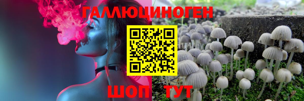 Галлюциногенные грибы MAGIC MUSHROOMS Мичуринск